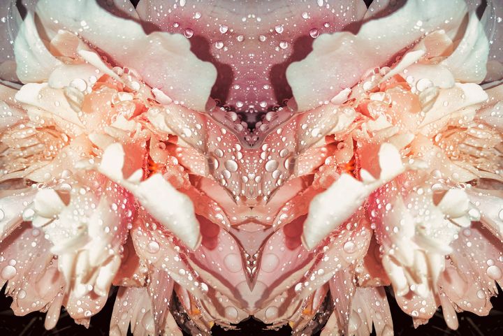 Kukka-Maria Rosenlund: 
Pink View, Ljusröd vy , 2020 
Pigmenttryck, 20 x 30 cm, Foto: Kukka-Maria Rosenlund