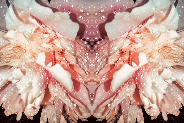 Kukka-Maria Rosenlund:
Pink View, Ljusröd vy , 2020
Pigmenttryck, 20 x 30 cm, Foto: Kukka-Maria Rosenlund
