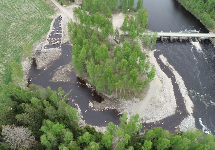 Pomarkunjoen Riuttaan valmistunut kalatie. © Ilkka Myllyoja.