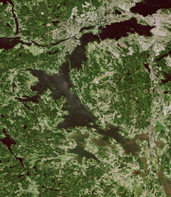 Sinilevää Tampereen Pyhäjärvessä 4.7.2021. © Sisältää muokattua Copernicus Sentinel-dataa, SYKE (2021)