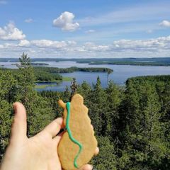 Näkymä Struven ketjun mittauspisteeltä, joka sijaitsee Korpilahden Oravivuorella Keski-Suomessa. Kesällä 2020 tuli kuluneeksi 15 vuotta siitä, kun Struven ketju pääsi Unescon maailmanperintölistalle.