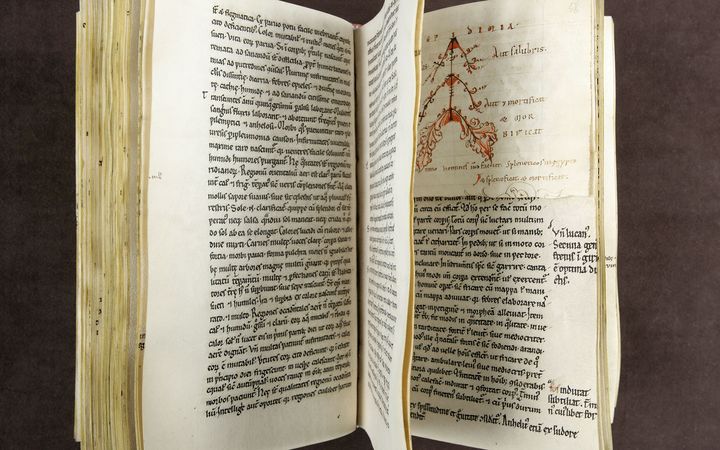Kuva: Ote Kansalliskirjaston Codex E.ö.II.14:stä.
Kuvaaja: Kari Timonen