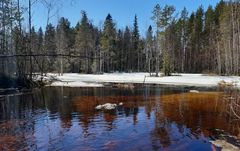 Kuva: Laura Härkönen / Suomen ympäristökeskus
