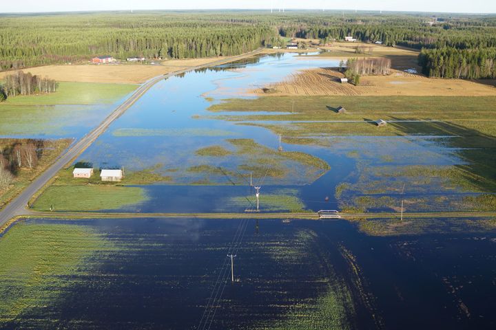 Översvämmad åkermark på område längs Ribäcken vid Malax å 3.11.2020.