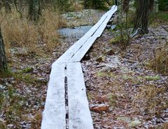 Kuva: Eira Rosberg-Airaksinen