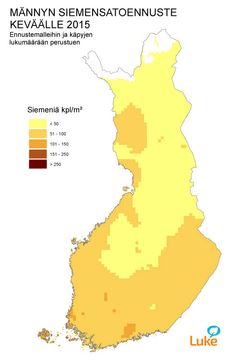 Kuva 4. Männyn siemensatoennuste keväälle 2015.