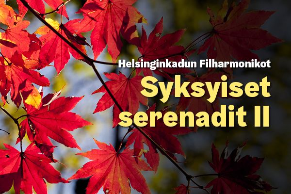 Helsinginkadun Filharmonikot konsertoi 14.11. Helsingissä ja 17.11. Järvenpäässä.