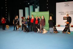 Sankarikoirat 2008.
Kuva: Jukka Kaitala/STT Info Kuva. Kuvat ovat vapaasti käytettävissä. Kuvia julkaistaessa pyydämme mainitsemaan lähteen: kuvaajan nimi ja STT Info Kuva.
Kuvat ovat painokelpoisia. Jos kuva ei suuren koonsa vuoksi avaudu, tallenna se