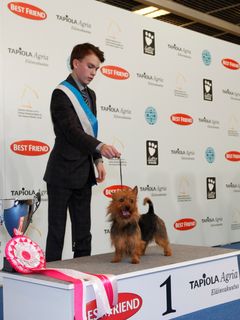 Vuoden 2009 Junior handlerin suomenmestari on Paavo Tervonen.
Kuva: Pepe Makkonen/Suomen Kennelliitto. Kuvat ovat vapaasti käytettävissä. Kuvia julkaistaessa pyydämme mainitsemaan lähteen: kuvaajan nimi ja STT Info Kuva.
Kuvat ovat painokelpoisia. Jos