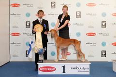 Tuore Pohjoismaiden Junior handler- mestari on suomalainen Hilde- Marie Fredriksson.
Kuva: Pepe Makkonen/Suomen Kennelliitto. Kuvat ovat vapaasti käytettävissä. Kuvia julkaistaessa pyydämme mainitsemaan lähteen: kuvaajan nimi ja STT Info Kuva.
Kuvat ov