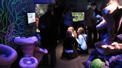 Kuuleeko kala? Aistit vedessä -näyttely SeaLifessa. Kuva: SeaLife.