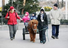 Poniratsastus maistui talvileikkien välissä Linnanmäellä. Kuva:Jakke Nikkarinen. Kuvat ovat vapaasti käytettävissä. Kuvia julkaistaessa pyydämme mainitsemaan lähteen: kuvaajan nimi ja STT Info Kuva.
Kuvat ovat painokelpoisia. Jos kuva ei suuren koonsa v