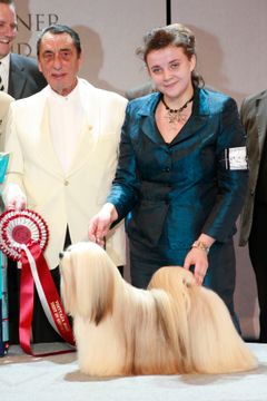 Näyttelyn parhaimmaksi koiraksi valittiin lhasa apso Chic Choix Sky's The Limit, jonka omistaa Lauryna Rubikaite Liettuasta. Onnelliset voittajat kuvassa tuomarin kanssa.
Kuva: Jukka Kaitala. Kuvat ovat vapaasti käytettävissä. Kuvia julkaistaessa pyydäm