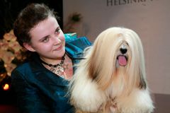 Näyttelyn parhaimmaksi koiraksi valittiin lhasa apso Chic Choix Sky's The Limit, jonka omistaa Lauryna Rubikaite Liettuasta. Kuva: Jukka Kaitala. Kuvat ovat vapaasti käytettävissä. Kuvia julkaistaessa pyydämme mainitsemaan lähteen: kuvaajan nimi ja STT In