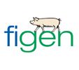 Figen Oy-logo
