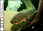 SeaLife Helsinki Oy