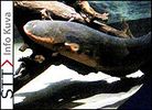 SeaLife Helsinki Oy