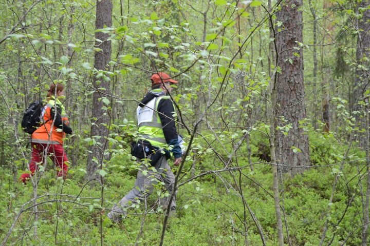 Den frivilliga räddningstjänsten (Vapepa) stödde myndigheterna i efterspaning av försvunna personer 253 gånger i fjol. Foto: Aku Suomalainen, Finlands Röda Kors