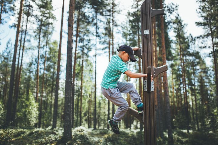 Ensimmäiset 13 rekisteröityä Joutsenmerkki-tuotetta on valittu Flora-tuotesarjasta. Käytetyt ja Joutsenmerkki-yhteensopiviksi todistetut materiaalit ja käsittelyt ovat samoja kuin muissakin Lappsetin tuotteissa. Joutsenmerkityt tuotteet toimitetaan puun luonnolisessa sävyssä.
