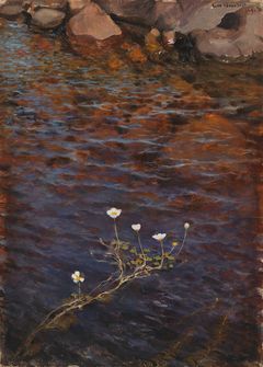 Eero Järnefelt: Pond Water Crowfoot (1895). Finnish National Gallery / Ateneum Art Museum, collection Wuorio.