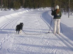 Foto: Pello kommun