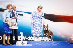 Näyttelyn kaunein kotimaista rotua edustava koira oli lapinporokoira Suukkosuun Tuuletar.