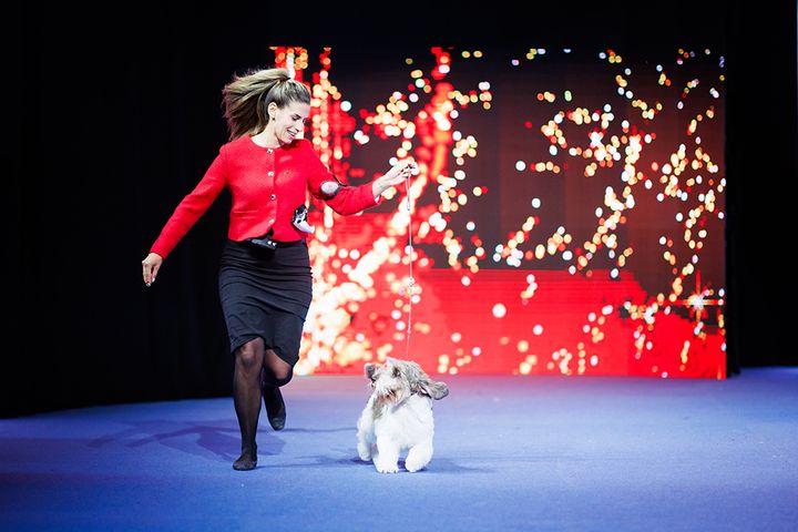 Näyttelyn parhaaksi koiraksi valittiin petit basset griffon vendéen Black Majesty Some Say Kroatiasta.