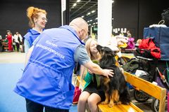 Koirien hyvinvointineuvojat kiertävät Koiramessuilla neuvomassa ja ohjaamassa koiranomistajia.