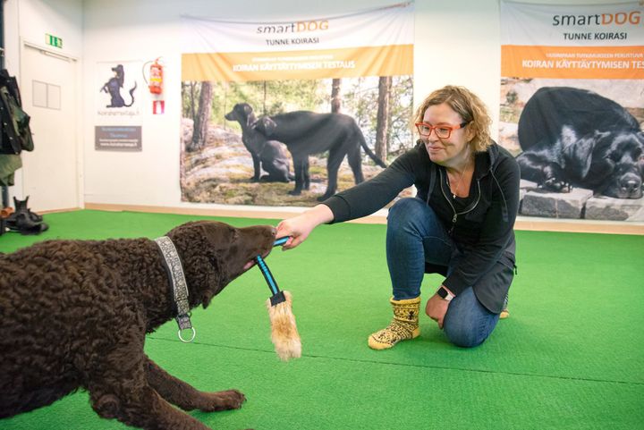 Mitä enemmän koiran kanssa touhuaa, sitä enemmän sekä koira että omistaja ymmärtävät toinen toisiaan, tietää Katriina Tiira.