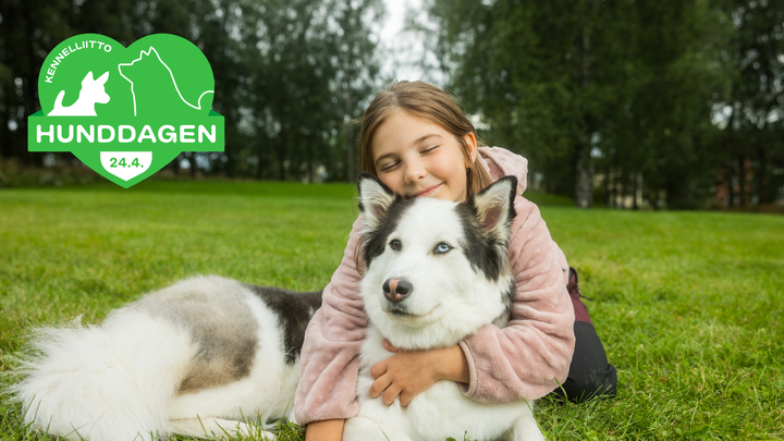 Kennelklubbens Hunddagen firas varje år den 24 april. Bild: Pekka Rousi