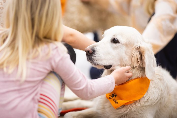 Kennelliiton kaverikoirat ovat tottuneet kohtaamaan ihmisiä erilaisissa tapahtumissa. Jokainen koira arvioidaan ennen sen hyväksymistä mukaan toimintaan.