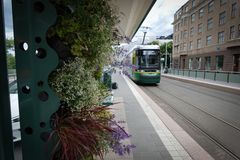 Vehreyttä Mannerheimintien raitiovaunupysäkeiltä