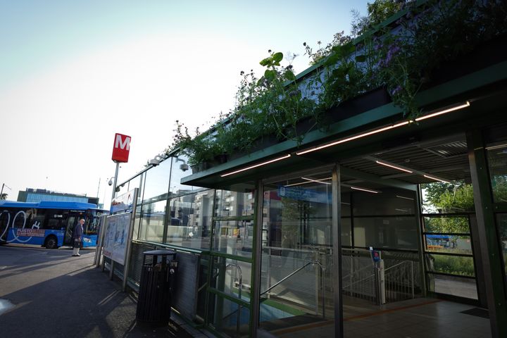 Viherkatot Herttoniemen metroasemalla.