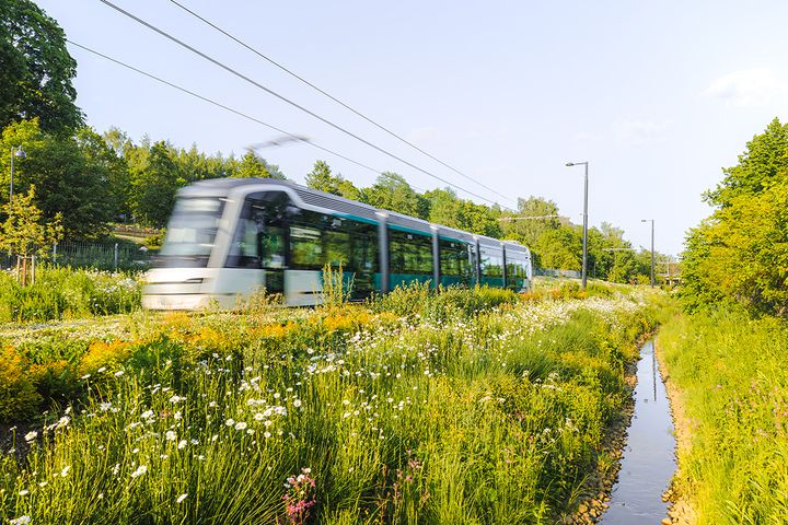 Raitiovaunu Vallilanlaakson vehressä ympäristössä.