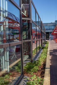 Itäkeskuksen metroaseman kirkkaat ikkunalasit ja viereinen istutusalue.