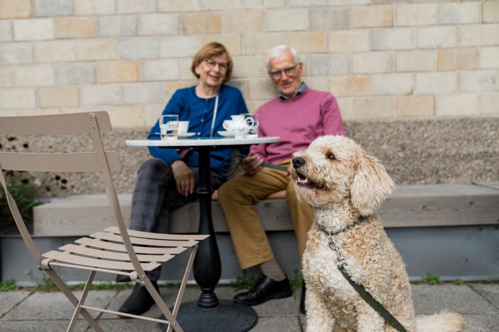 Kaksi eläkeläistä juo kahvia ulkona terassilla koiran kanssa.