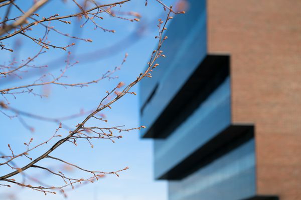 Kuvituskuvaa Varman pääkonttorista Salmisaaresta.