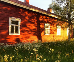 Miitta Sorvali_mökki (2)