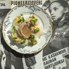 Bird liver mousse, lillet gel, radish and pistachio