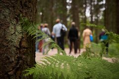 Messukeskus auttaa kansainvälisiä kongressijärjestäjiä löytämään paikallisia vastuullisuushankkeita ja -kumppaneita osaksi kongressien ohjelmaa. Kesällä 2025 järjestetyn EAN-kongressin osallistujat virkistäytyivät Keskuspuistossa. Kuva: Helsingin Messukeskus
