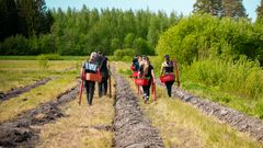 Uuden metsän istuttaminen.