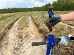 Hesburger istutti yli 16 000 taimea Kankaanpäähän – uusi metsä sitoo hiiltä ja vahvistaa luonnon monimuotoisuutta