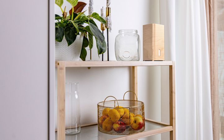 Can the net look good? DNA to introduce stylish modem cases