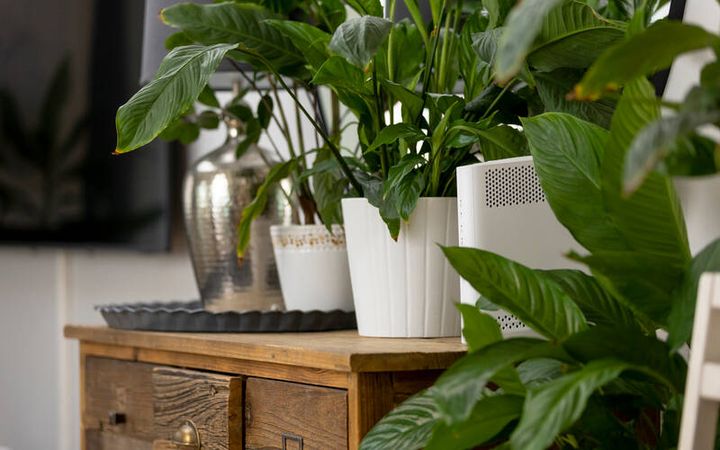 Even if the internet appears to be working normally, an outdated or poorly maintained router can expose the entire home network to serious security risks.