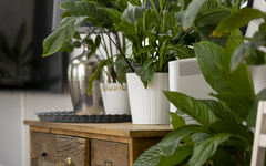 Even if the internet appears to be working normally, an outdated or poorly maintained router can expose the entire home network to serious security risks.