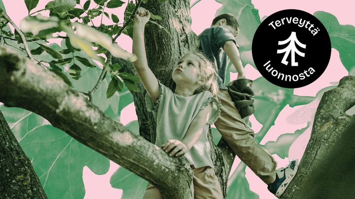 Terveyttä luonnosta -ohjelma