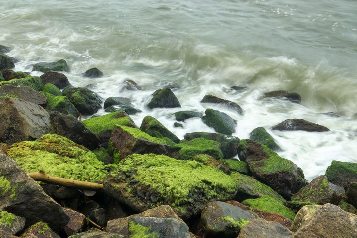 Kerala shoreline in Southern India