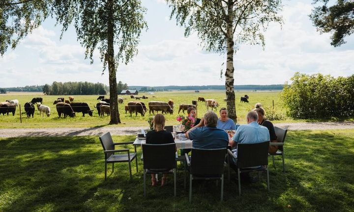 Kesäruokailu