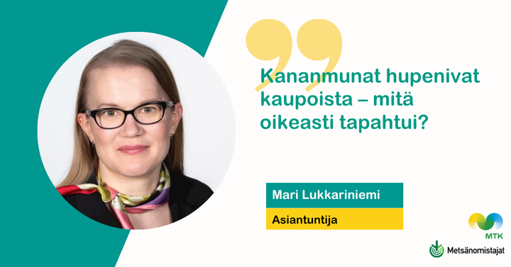 Mari Lukkariniemi blogi