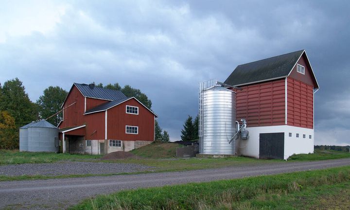 Kuivuri